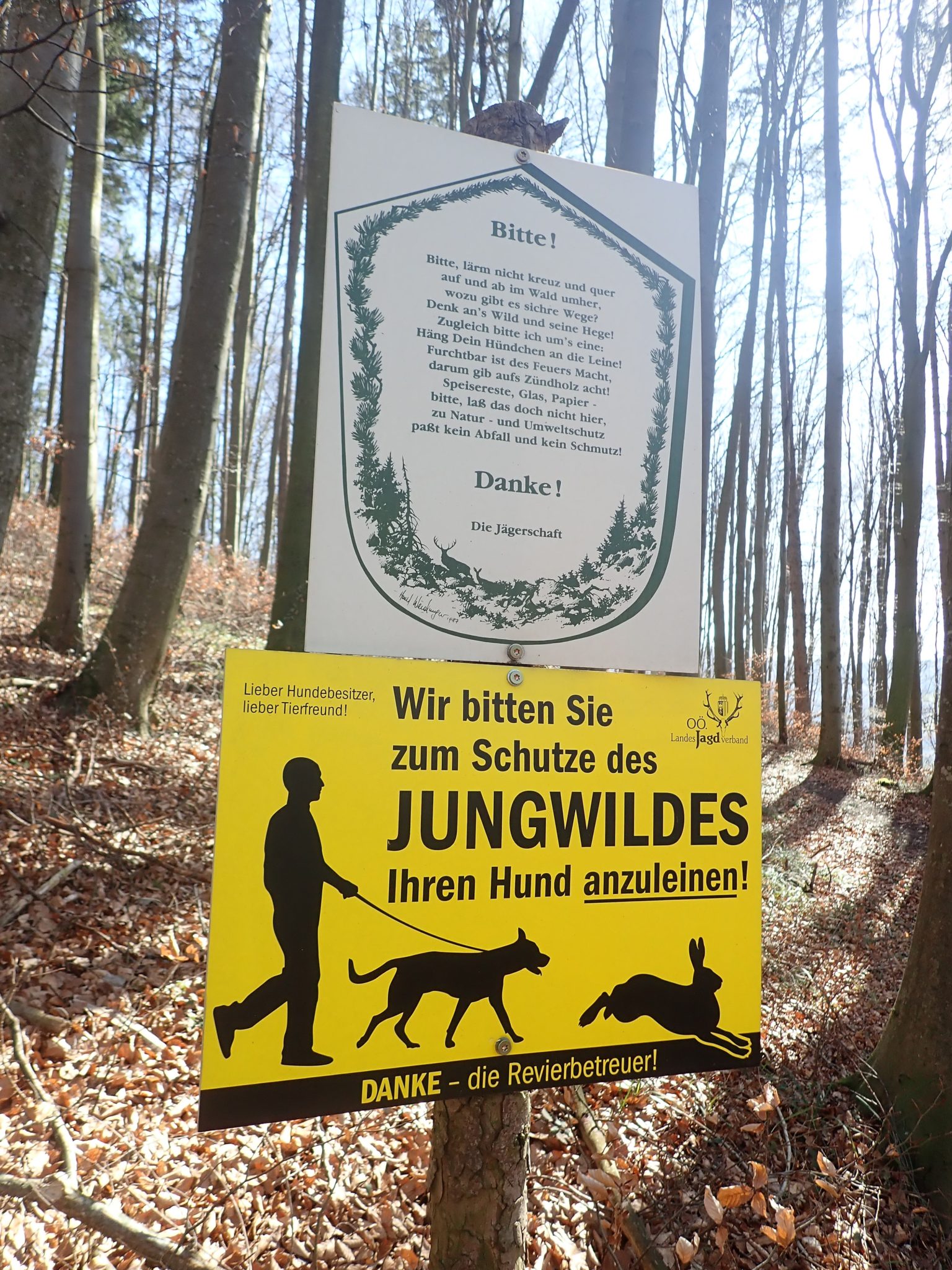 Wanderung zur Dambergwarte Wandern mit Hund in Oberösterreich blog