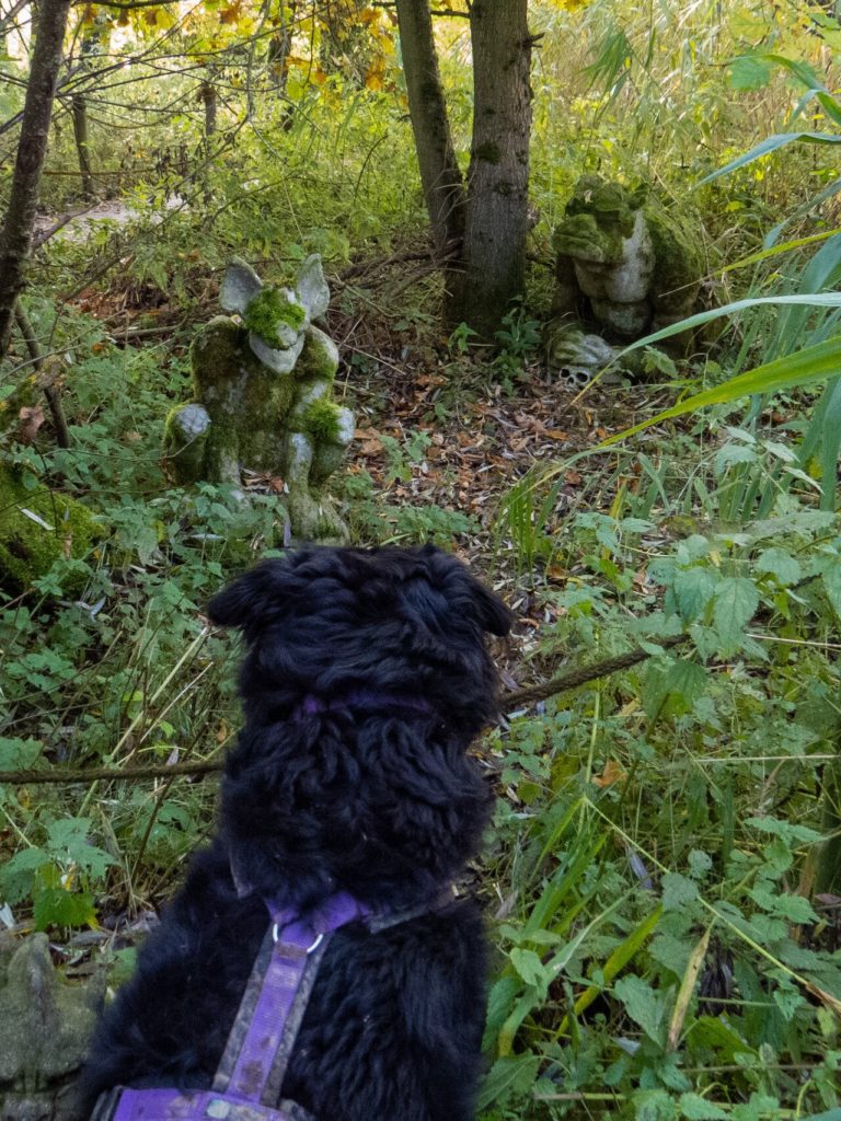 Mit Hund im Wildgarten blog.wanderspassmithund.de
