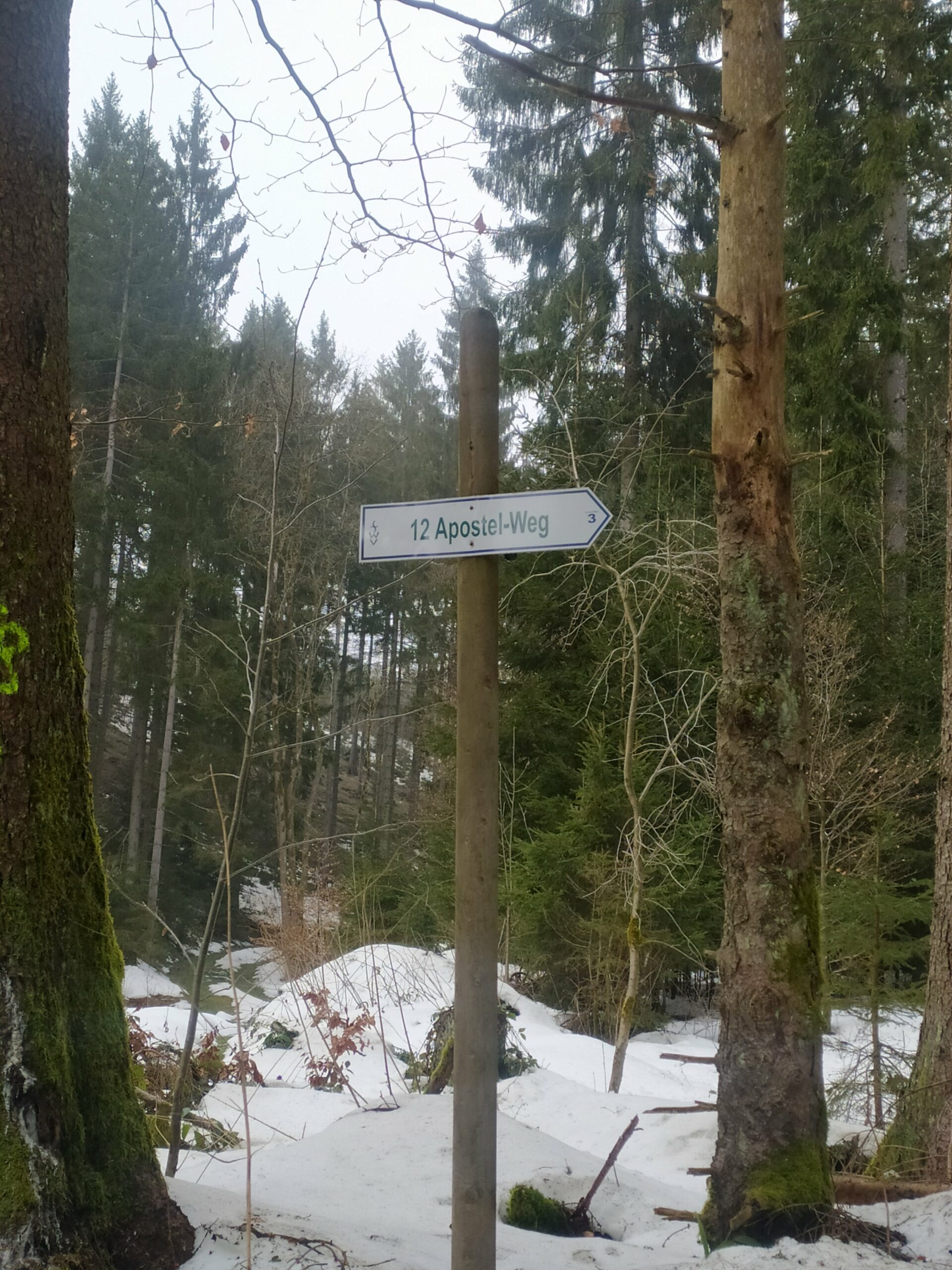Markierung 12-Apostel-Weg im Frankenwald