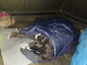 Freya in Decke eingewickelt