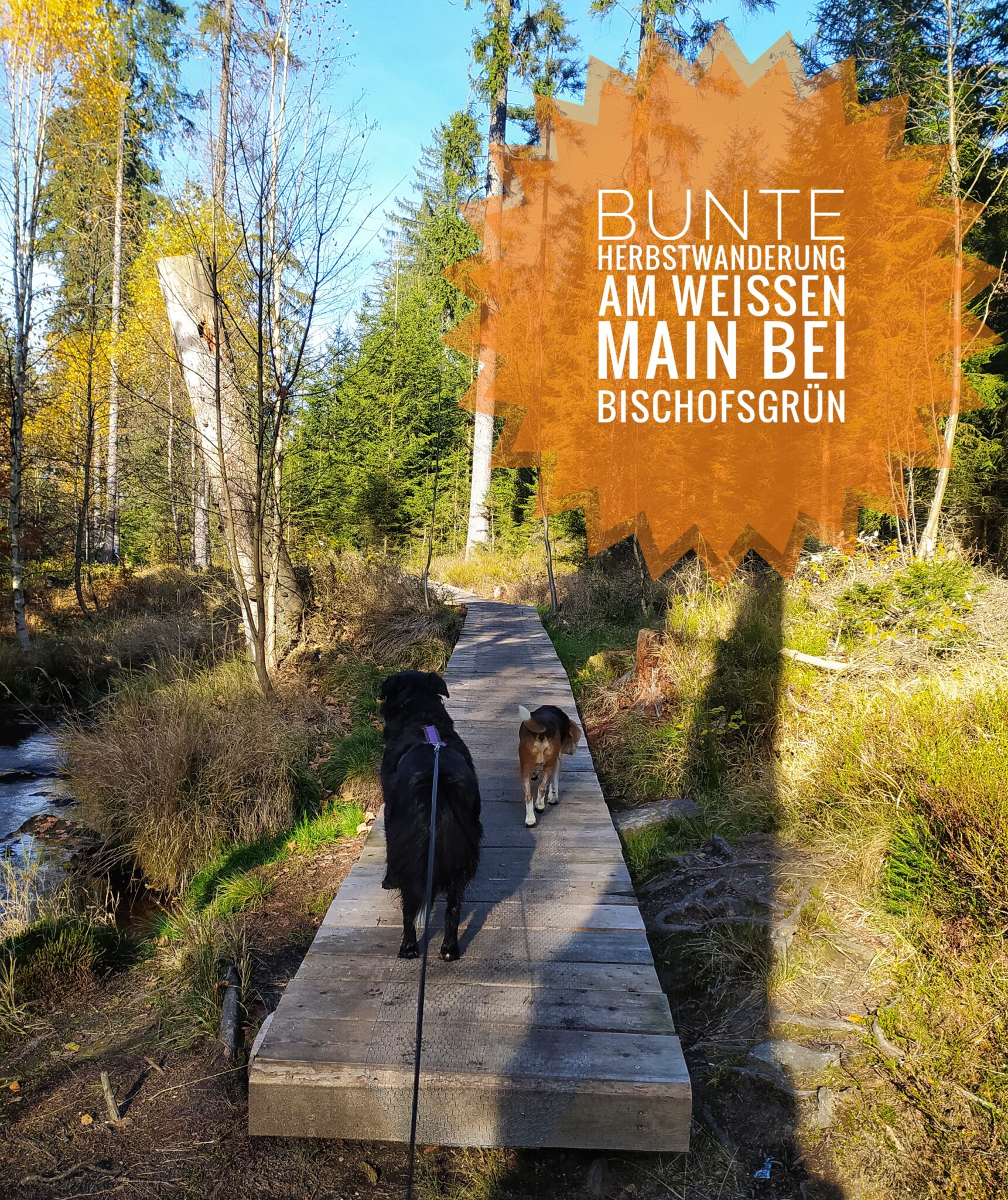 Bunte Herbstwanderung auf dem Naturpfad Weißer Main